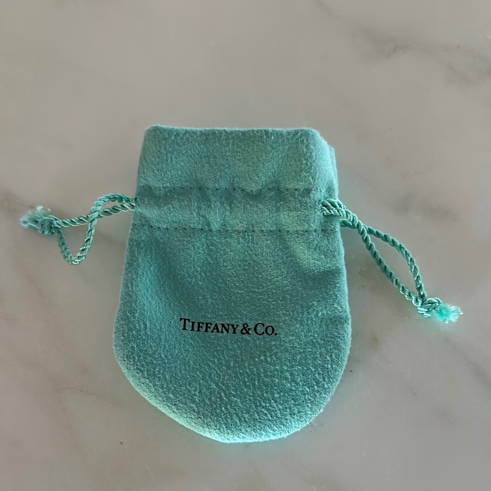 Tiffany & Co. Aqua Jewelry Pouch